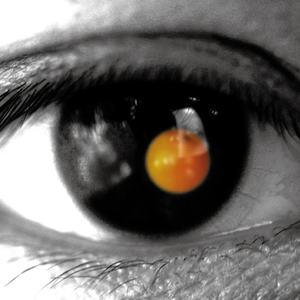 淹川惠里的人物介绍
