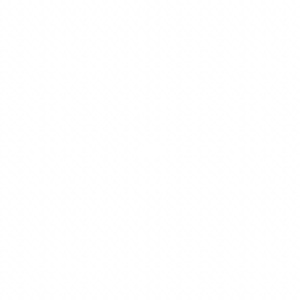 淹川惠里的人物介绍
