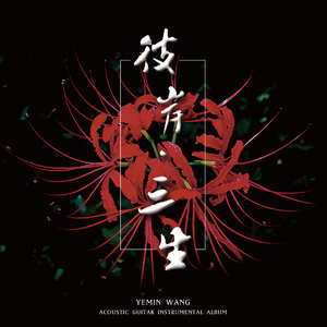 淹川惠里的人物介绍
