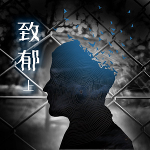 淹川惠里的人物介绍
